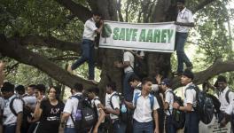 Save Aarey