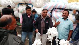 cotton farmers