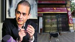 Nirav Modi