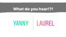 yanny laurel