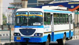 hariyana roadways strike