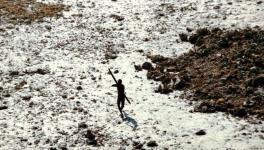 Sentinelese aboriginals