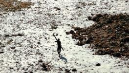 Sentinelese