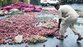 Onion farmers