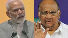 Sharad Pawar and Narendra Modi