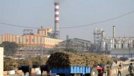 Elections 2019: No Hope for Revival of Sugar Mill Closed 21 Years Ago in Bihar