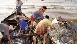 Fisherfolk Fear Corporatisation Through Maritime Fisheries Bill