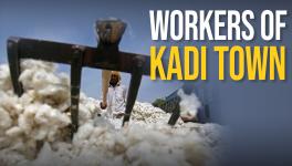  Labourers in Kadi Town