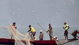 Tamil Nadu Fishermen Face Double Whammy as Fishing Ban Follows Lockdown