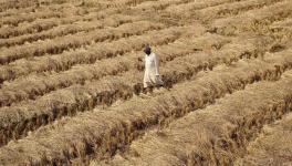 Barmer Farmers Call for Postponing 