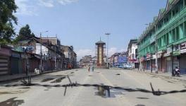 Article 370’s Abrogation, Local Government