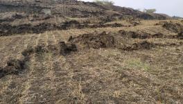 Gujarat: Land Rising Near Bhavnagar Mine; Villagers, Environmentalist Raise Alarm