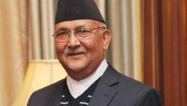 Nepal Oli