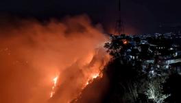 Mizoram Forest Fire Raging for Over 3 Days, 6 Districts Engulfed