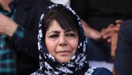 COVID-19: Mehbooba Mufti Writes to PM Modi, Seeks Release of Kashmir Prisoners