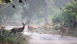 uttarakhand