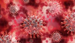 COVID-19: New Variant, C.1.2, may be More Infectious, Evade Vaccine Protection: Study