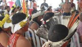 Indigenous people of Brazil