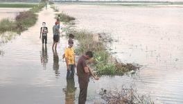 Delhi Village Farmers pay Price for Urbanisation