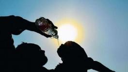 Indians 15% More Vulnerable to Extreme Heat: Lancet Study