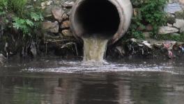 Coastal Sewage Pollution: Few Clusters Threaten Aquatic Ecosystems 