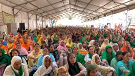 farmers protest