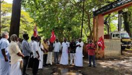 TN crop damage; farmers protest