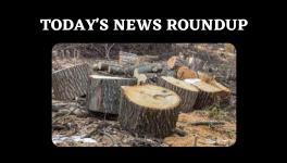 News Round up