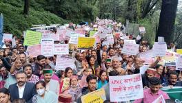 Apple producers march to the civil secretariat in Shimla