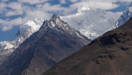 himalayan