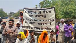 Tribals protest