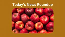 News round up