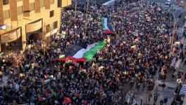 Hundreds of thousands marched in Washington DC to protest Israel's genocidal war on Gaza. Photo: Adrian Antonioli / ANSWER Coalition