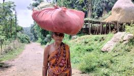 Women pluck sal leaves from the forest and bring them back (Photo - Prativa Ghosh, 101Reporters)