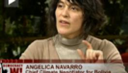 Navarro-democracynow.jpg