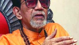 balthackeray.jpg