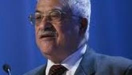 mahmoudabbas.jpeg