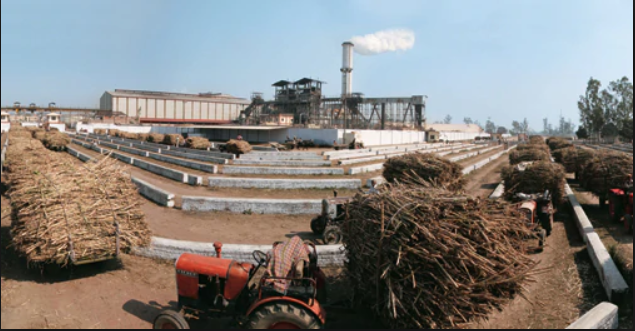 sugar mills