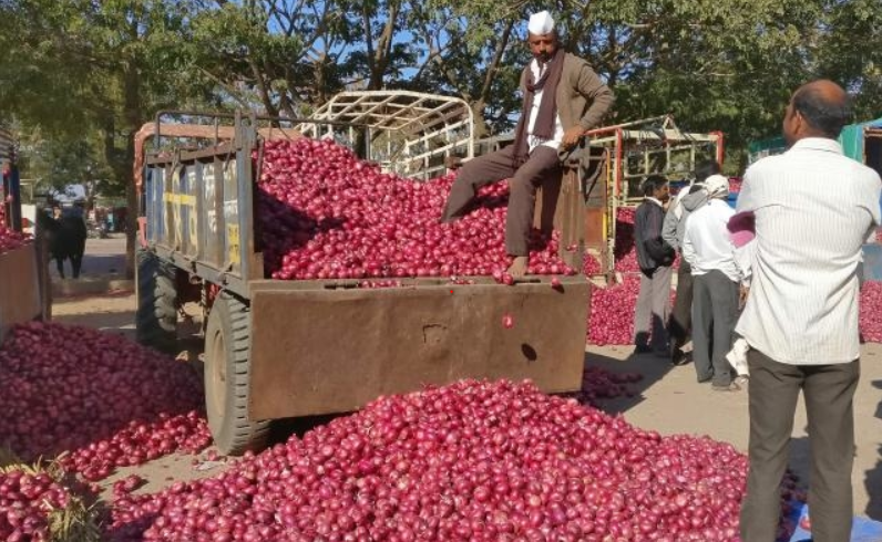 Onion Farmers Protest in Sikar Enters 9th Day 