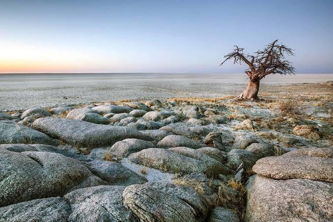 Makgadikgadi-Okavango