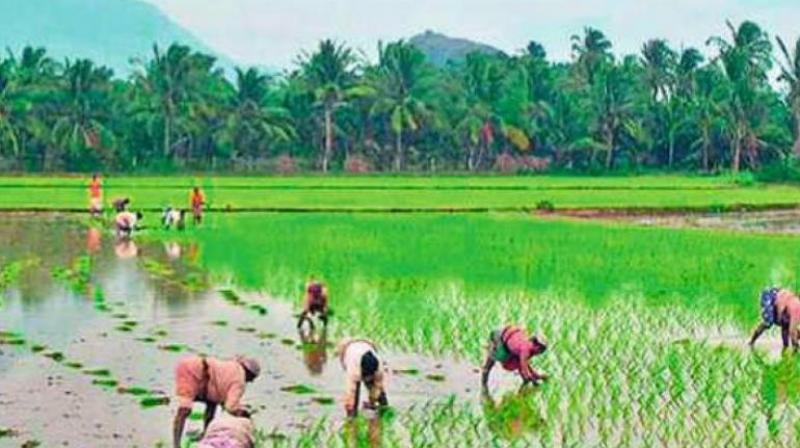 Tamil Nadu: Farmers Wait for Days