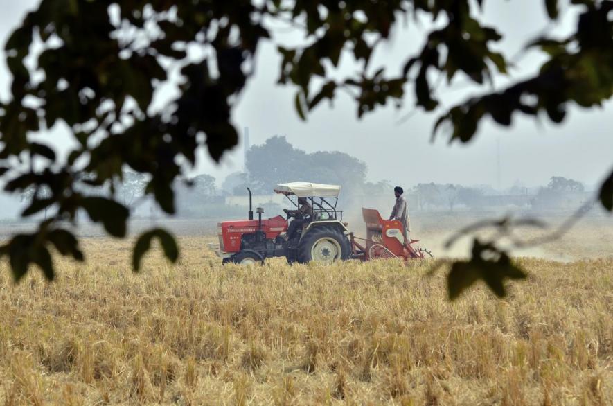 Foodgrain in India