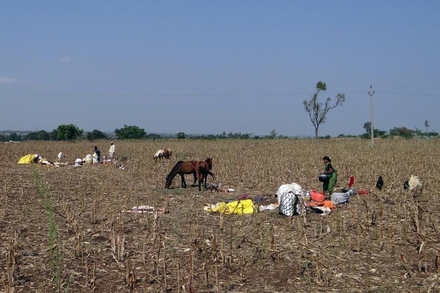 Nomads in India