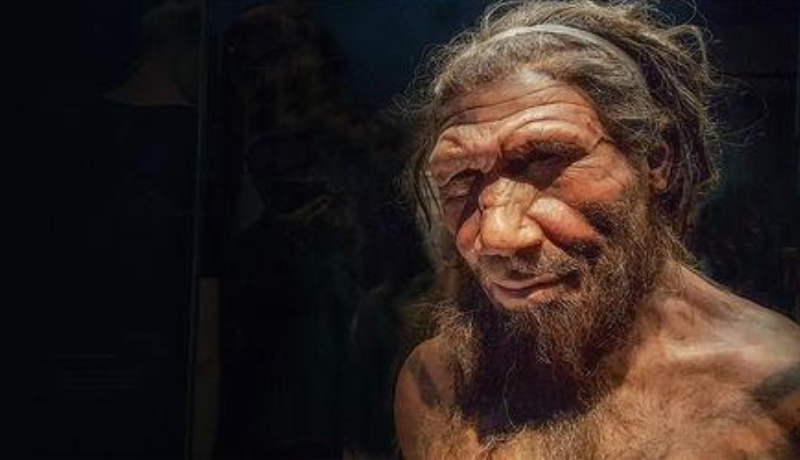 Genetic Ancestry of Pain Sensitivity Traced Back to Neanderthals