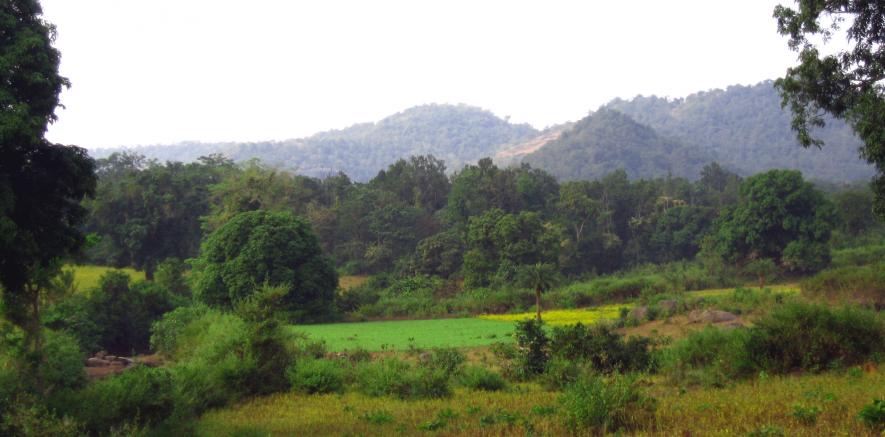 Niyamgiri Hills