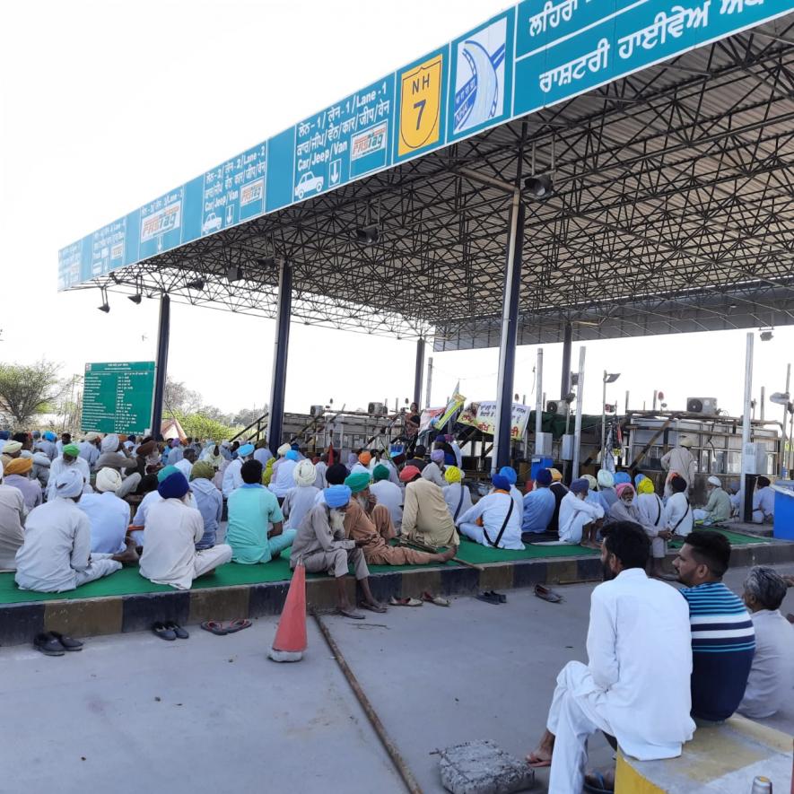 punjab farmers