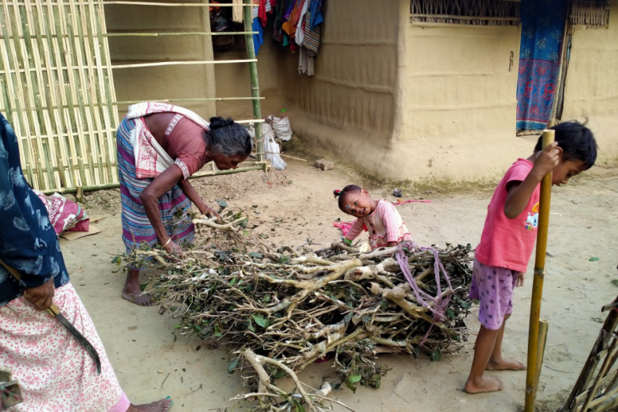 Assam tea workers