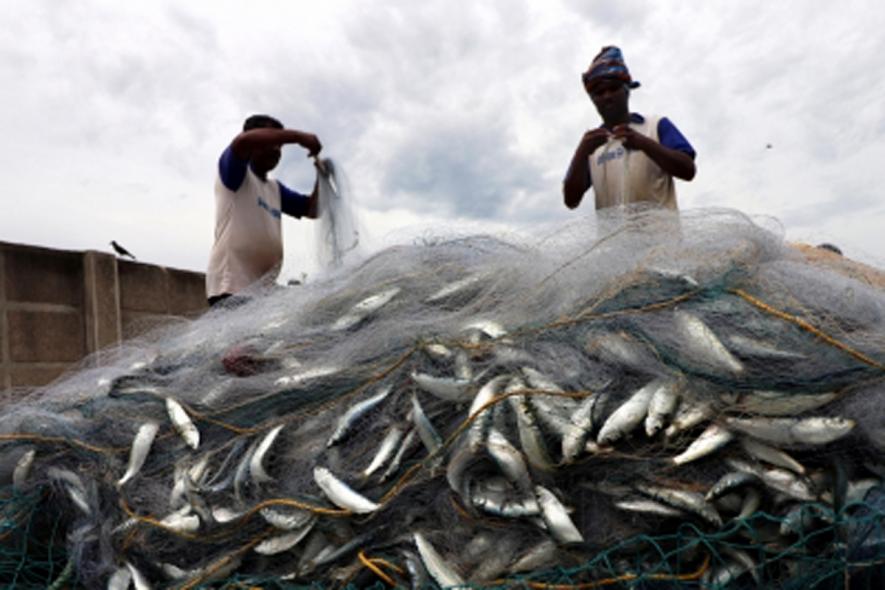 Big Fish Eats Small Fish, Be It WTO Negotiations Or Domestic Marine Fisheries Bill