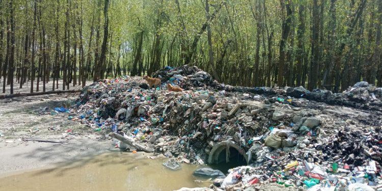 When wetlands become wastelands in J&K