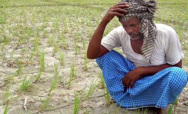 Andhra Pradesh: Farmers Threaten Suicide Over Rs 200Cr Pending Dues from Govt